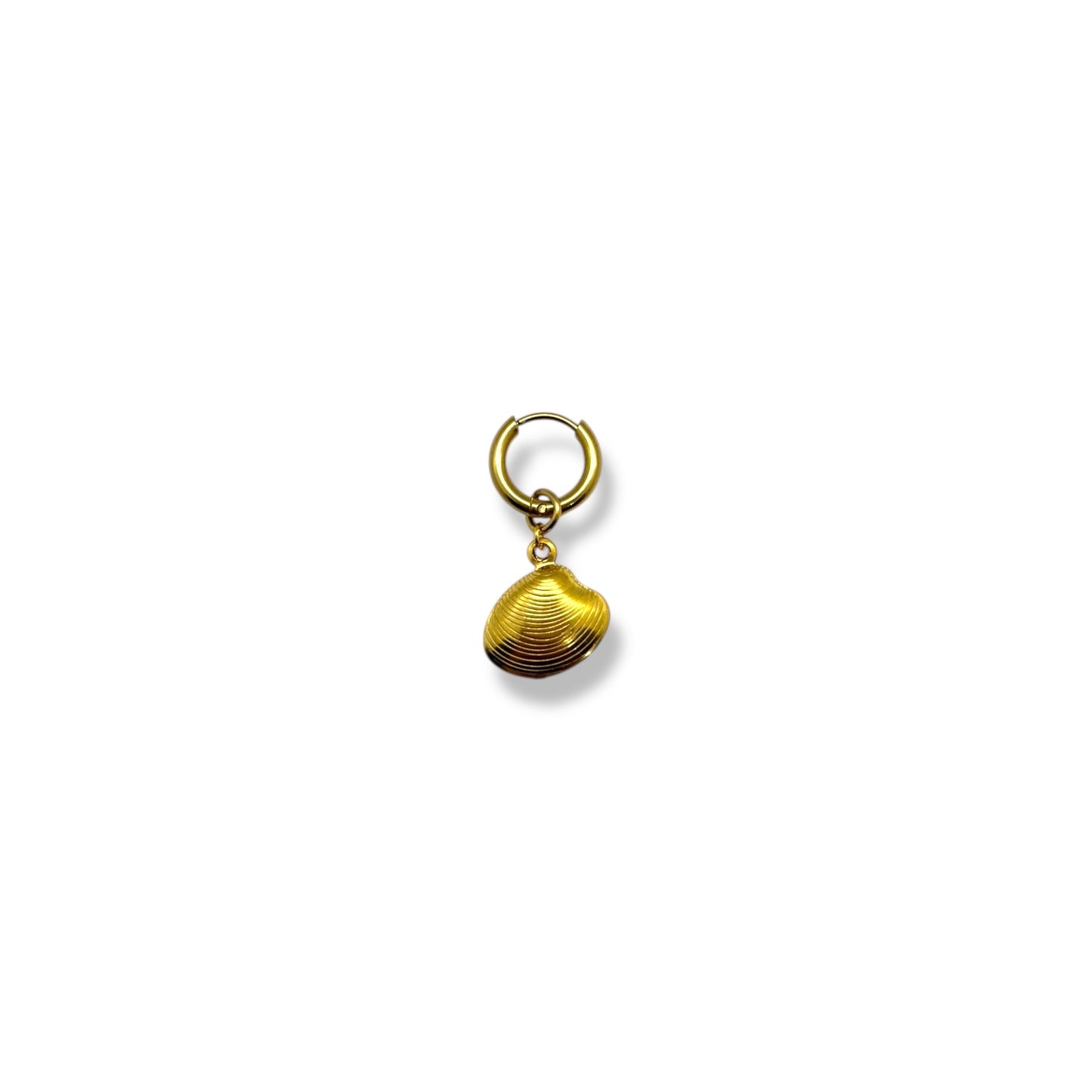 mono boucle palourde